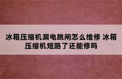 冰箱压缩机漏电跳闸怎么维修 冰箱压缩机短路了还能修吗